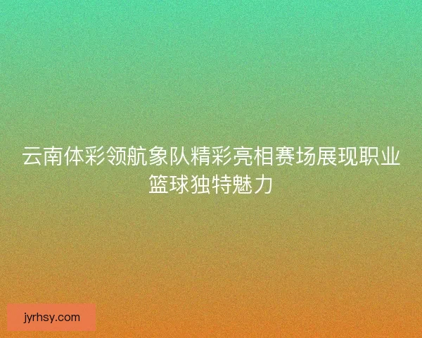 云南体彩领航象队精彩亮相赛场展现职业篮球独特魅力 云南体彩领航象队精彩亮相赛场展现职业篮球独特魅力